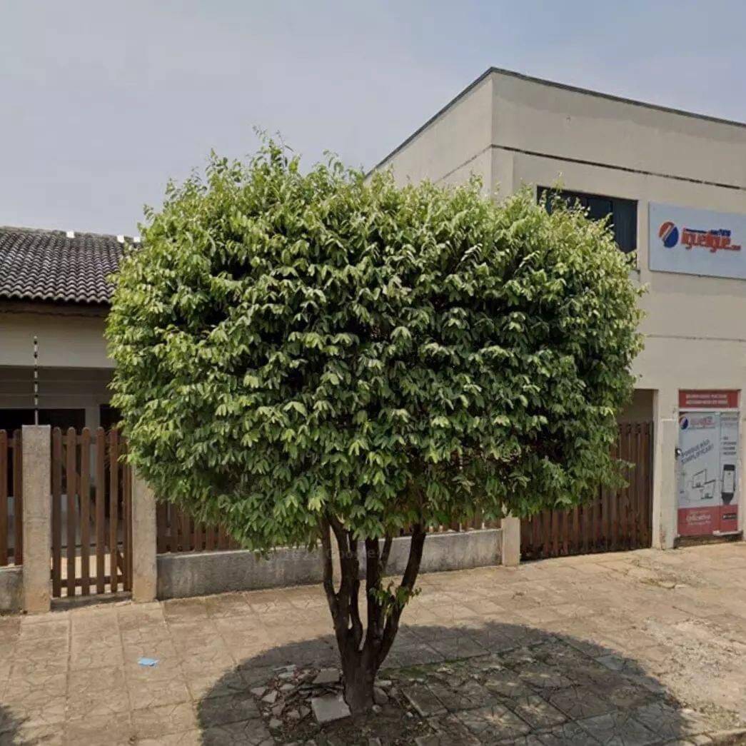 Casa, 3 quartos, 240 m² - Foto 3